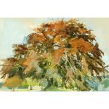 * Jenny Cowern (1943-2005), watercolour, "Study of a Copper Beech Tree".  37.5 cm x 55.