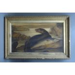 Circle of Rowland Knight, late 19th/early 20th century, oil on board, pair of otters with salmon.