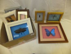 A collection of six various modern frame