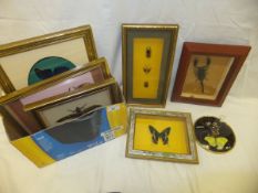 A collection of seven modern framed and