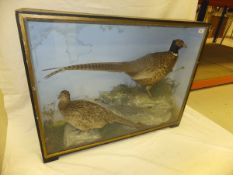 A pair of early 20th Century stuffed and