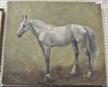 ENGLISH SCHOOL "Grey horse in profile",