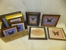 A collection of ten modern framed and gl