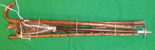 Five various walking sticks and a Swaine