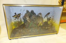 A circa 1900 stuffed and mounted collection of garden birds to include Green Woodpeckers, Goldfinch,