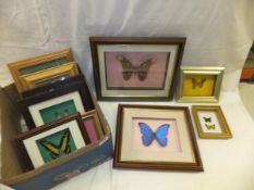 A collection of ten framed and glazed di