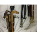 Twelve assorted walking sticks and swagg