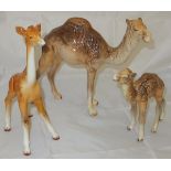 A Beswick camel, together with a smaller Beswick camel and a Beswick giraffe CONDITION REPORTS