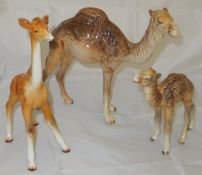 A Beswick camel, together with a smaller Beswick camel and a Beswick giraffe CONDITION REPORTS