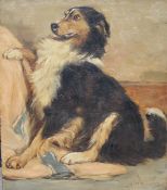 FRANCES MABEL HOLLAMS (1877-1963) "Collie dog presenting paw", oil on board, signed "F.M. Hollams"