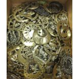 A collection of approximately 117 various horse brasses including various animals, cat, crowned swan