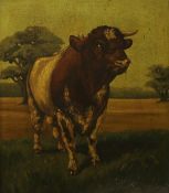 ENGLISH SCHOOL "Study of a bull in field", oil on panel, unsigned CONDITION REPORTS Overall quite