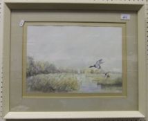 CHAPMAN "Mallards coming in", watercolou