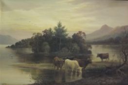 J. MORRIS "Highland cattle watering", oi