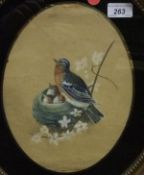 ENGLISH SCHOOL "Kingfishers on branch" and "Songbird with chicks", a pair of watercolours,