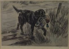 AFTER HENRY WILKINSON - three coloured etchings; "Black Labrador chasing duck in flight", limited