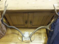 A pair of eight point deer antlers on shield shaped mount,