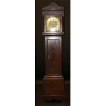 A 19th Century mahogany cased long case clock, the eight day movement with square brass dial, the