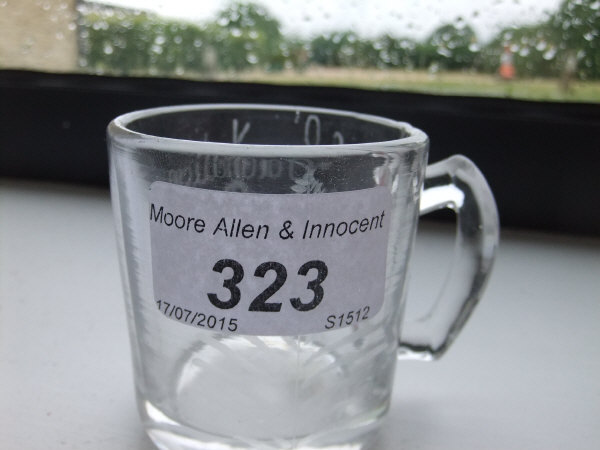 A miniature glass mug, etched "Coronation of King George June 22nd 1911", with fern to reverse, 5. - Image 3 of 11