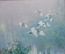 VERNON WARD (1905-1985) "Swans alighting from river", oil on canvas, signed bottom right, 63 cm x 76