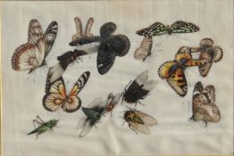 CHINESE SCHOOL "Study of crickets, butterflies and caterpillars", on rice paper, together with one