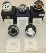 A collection of five Caithness glass paperweights - "Christmas Star", No'd. 26/250, "Thistle", No'd.