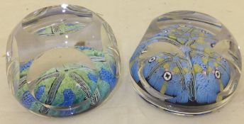 Two Whitefriars millefiore glass paperweights set with signature/date cane - one for 1977, the other