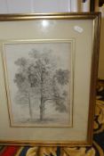 NORWICH SCHOOL "Study of trees", pencil, unsigned,
