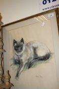 T PANET "Mr Fu, a Siamese cat", pastel,