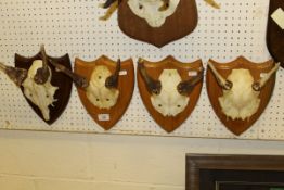 Four pairs of Fallow Deer prickets on shield shaped mounts