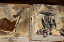 Two boxes of various pelts and skins