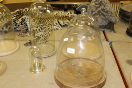 Four various glass domes, two on wooden bases,