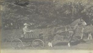 A black and white photographic print of a horse and carriage