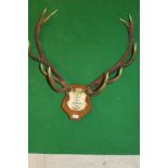 A pair of mounted ten point Red Deer antlers, inscribed "D.S.S.H.17.8.