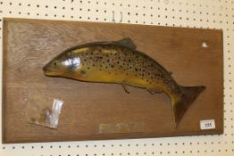 A mounted Brown Trout cast bearing plaque inscribed "The Wild Brown Trout"