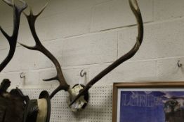 A pair of mounted ten point Red Deer antlers and a Christys' London "Impala" hat