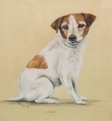 ENGLISH SCHOOL "Worzel", study of a Jack Russell, watercolour heightened with white,