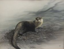 MIKE NANCE "Study of otter", oil on canvas, signed lower right,