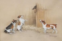CHRISTINE BOUSFIELD "Point of Interest", watercolour study of terriers,