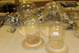 Four various glass domes, two on wooden bases,