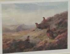 AFTER ARCHIBALD THORBURN "The Home of the Red Grouse",