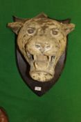 A circa 1900 stuffed and mounted Tiger's head on shield mount (for refurbishment) CONDITION