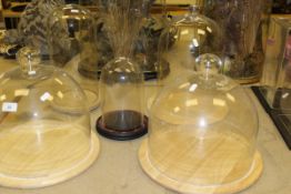 Five various glass domes, three on wooden bases,