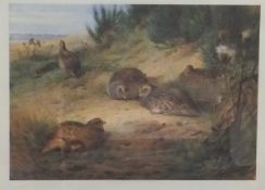 AFTER ARCHIBALD THORBURN "A Covey of Partridges",