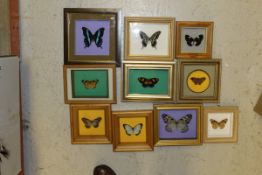 Ten various cased butterflies