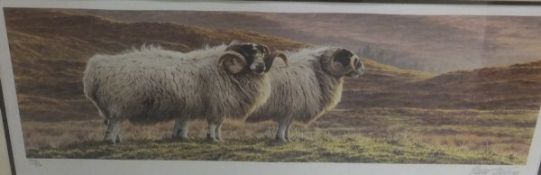 AFTER ANDREW HUTCHINSON "Three cows", limited edition colour print No'd 331/390,