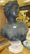 A resin/fibreglass classical bust raised on a socle base