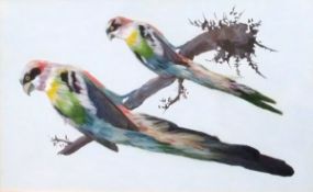 EARLY 20TH CENTURY ENGLISH SCHOOL "Exotic birds on branches", watercolour and feather studies,