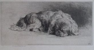 HERBERT DICKSEE (1862-1942) "Sleeping Pekinese", black and white etching,