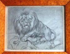 C BURBANK "Lion study at the Zoological Gardens 1851", charcoal,